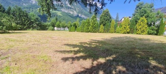 Земельный участок 3554м² в Шпиталь ам Пирн, Австрия № 204835 4