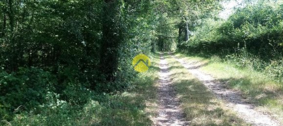 3 bedrooms House in Saint-Amand-Montrond, France No. 88746 14