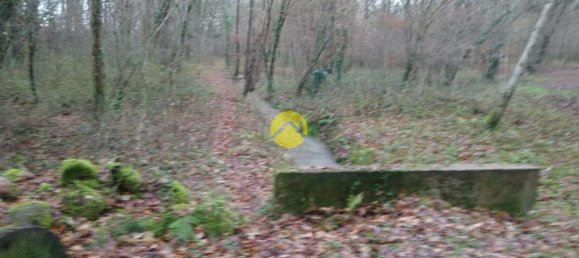 3 bedrooms House in Saint-Amand-Montrond, France No. 88746 2