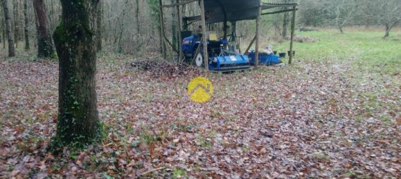 3 bedrooms House in Saint-Amand-Montrond, France No. 88746 13