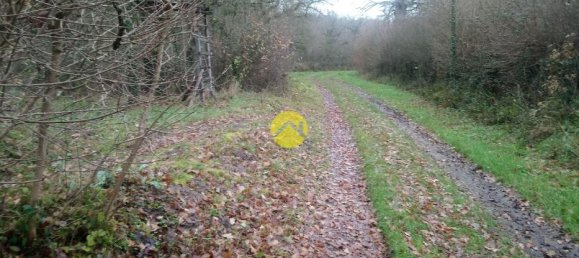 3 bedrooms House in Saint-Amand-Montrond, France No. 88746 12