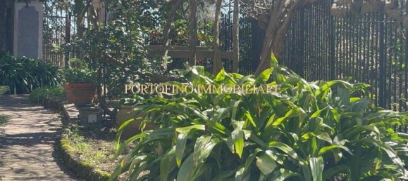 10غرفة فيلا في Rapallo, Italy رقم 24474 3