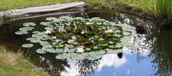 3 Schlafzimmer Haus in Kitzbühel, Austria, Nr. 97751 8