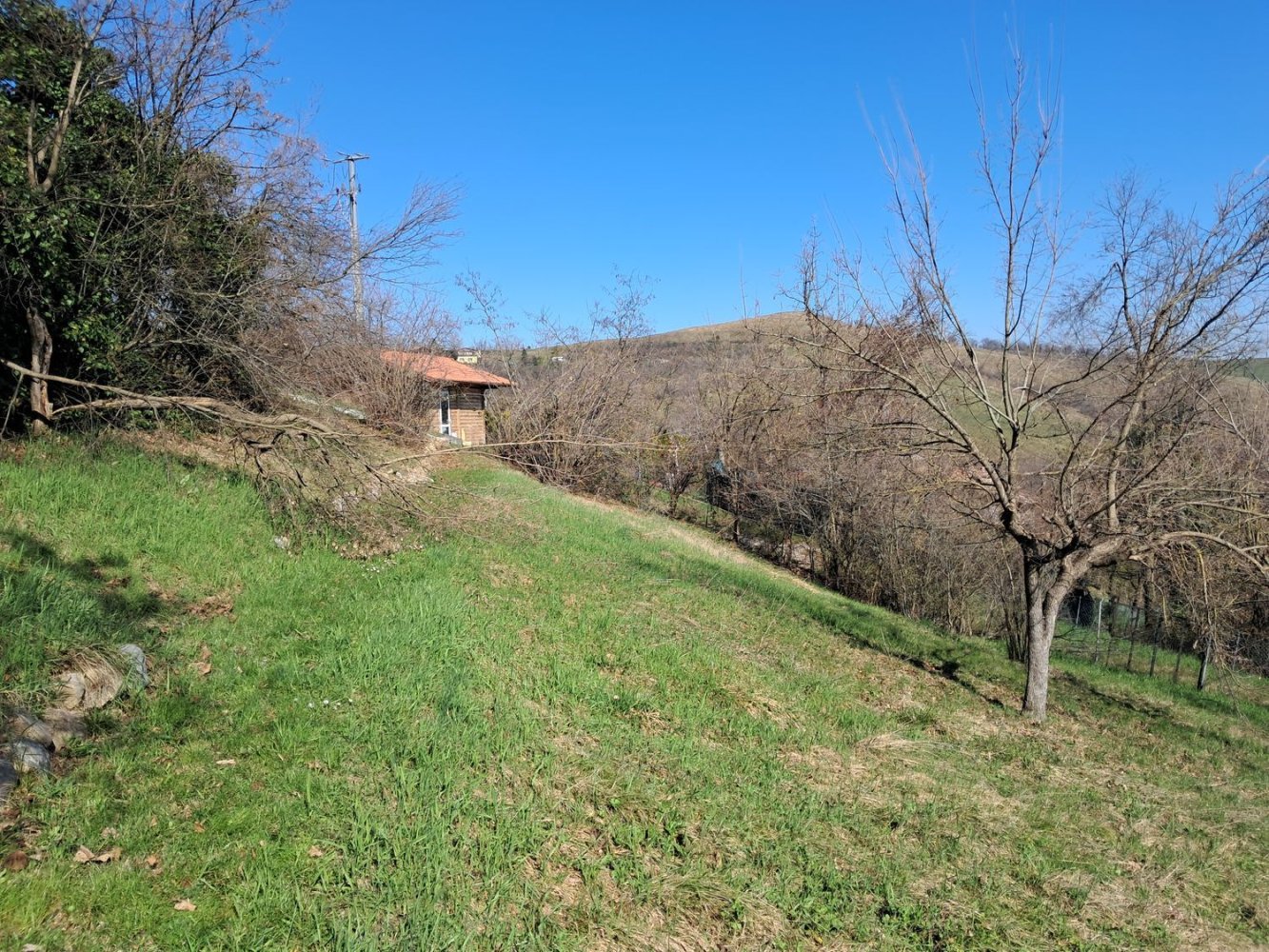 7 rooms House in Serramazzoni, Italy No. 229617