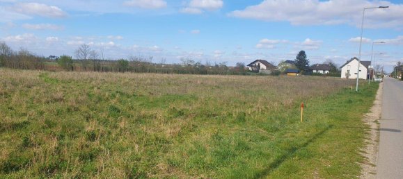 723m² Land in Ganserndorf, Austria No. 206355 2