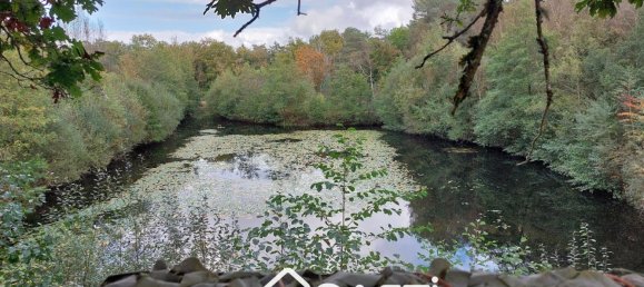 5 Schlafzimmer Haus in Souesmes, France, Nr. 158530 19