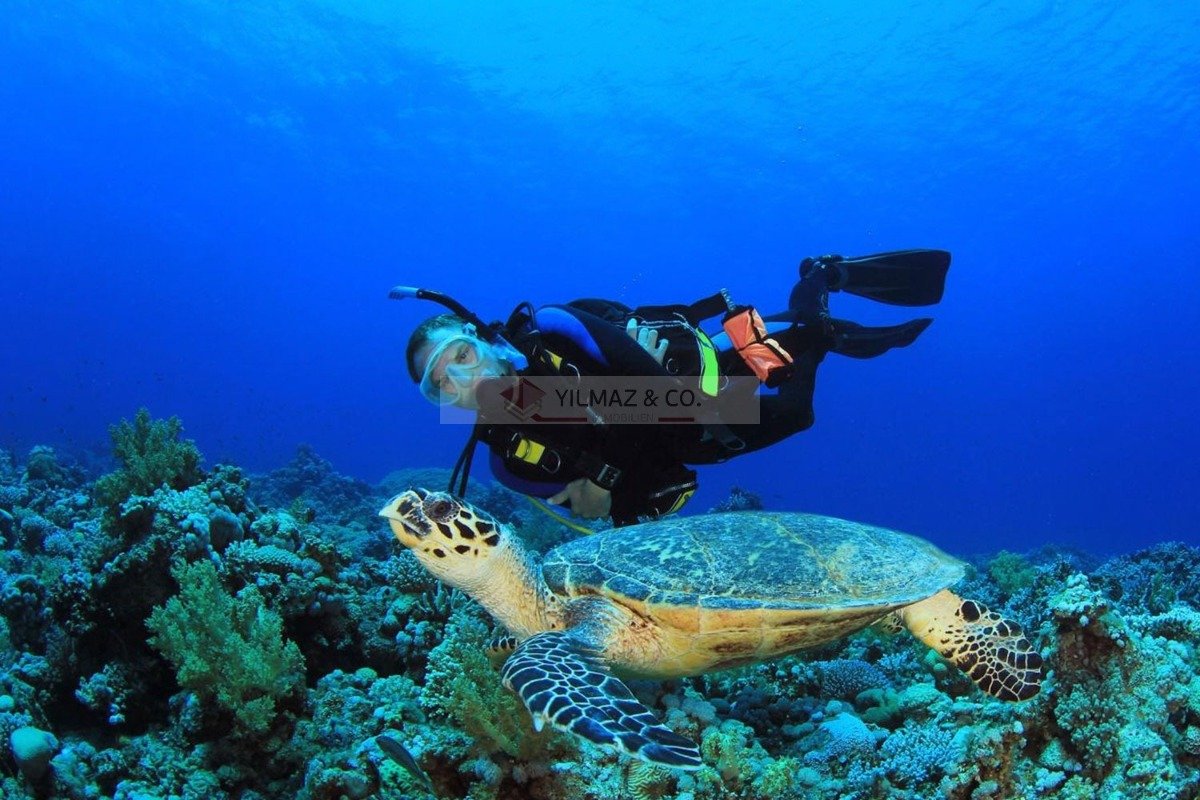 3-Zimmer Wohnung in Ammochostos, Cyprus, Nr. 23801