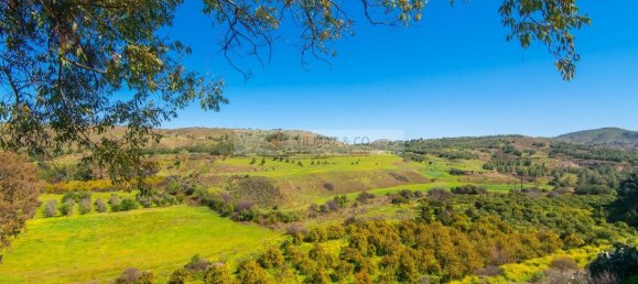3-Zimmer Wohnung in Ammochostos, Cyprus, Nr. 23801 23