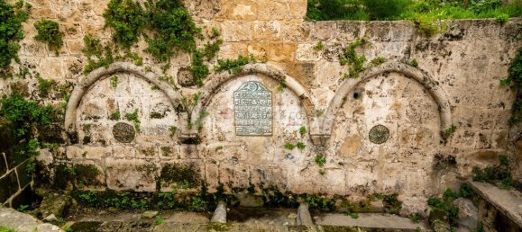 3-Zimmer Wohnung in Ammochostos, Cyprus, Nr. 23801 21