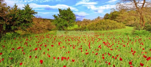 3-Zimmer Wohnung in Ammochostos, Cyprus, Nr. 23801 28