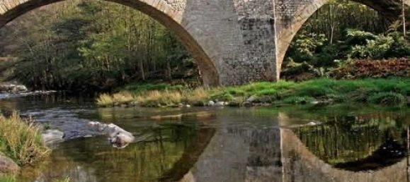 200m² Commercial property in Boucieu-le-Roi, France No. 195566 17