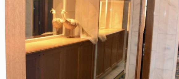 Отель, гостиница 1600м² в Занкт Фалентин, Австрия № 253360 5