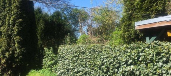 2 غرف نوم منزل في Ostholstein, Germany رقم 217626 11