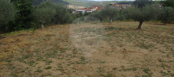 2 bedrooms House in Vidago, Portugal No. 18397 17