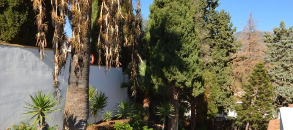 3 bedrooms Villa in Mijas, Spain No. 148224 29