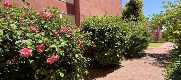 4 Schlafzimmer Stadthaus in Cadiz, Spain, Nr. 134932 7