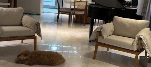 Квартира с 3 спальнями в Сан-Паулу, Бразилия № 12 24