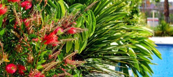 2 Schlafzimmer Wohnung in Torrevieja, Spain, Nr. 54473 21