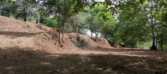 9 chambres Maison à Celorico de Basto, Portugal No. 51827 37