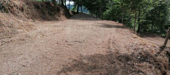 9 chambres Maison à Celorico de Basto, Portugal No. 51827 40