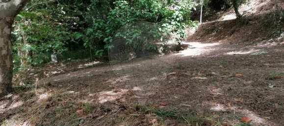 9 chambres Maison à Celorico de Basto, Portugal No. 51827 39