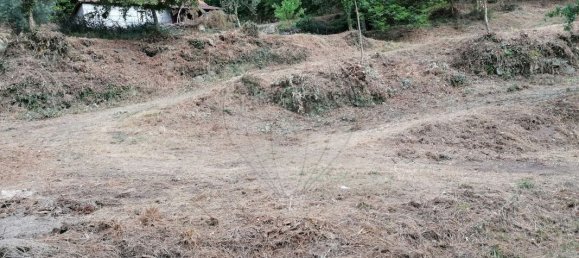 9 chambres Maison à Celorico de Basto, Portugal No. 51827 41