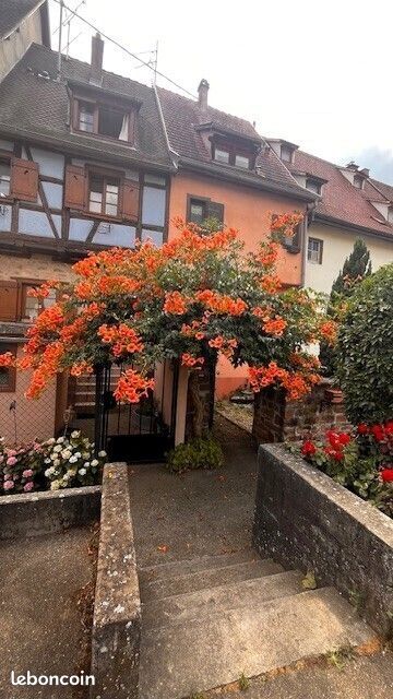 2 Schlafzimmer Haus in Haut-Rhin, France, Nr. 280509