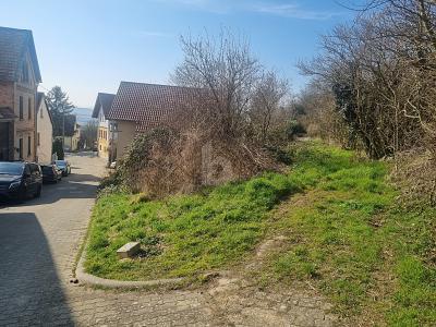  قطعة أرض في Alzey-Worms, Germany 239متر مربع رقم 283692