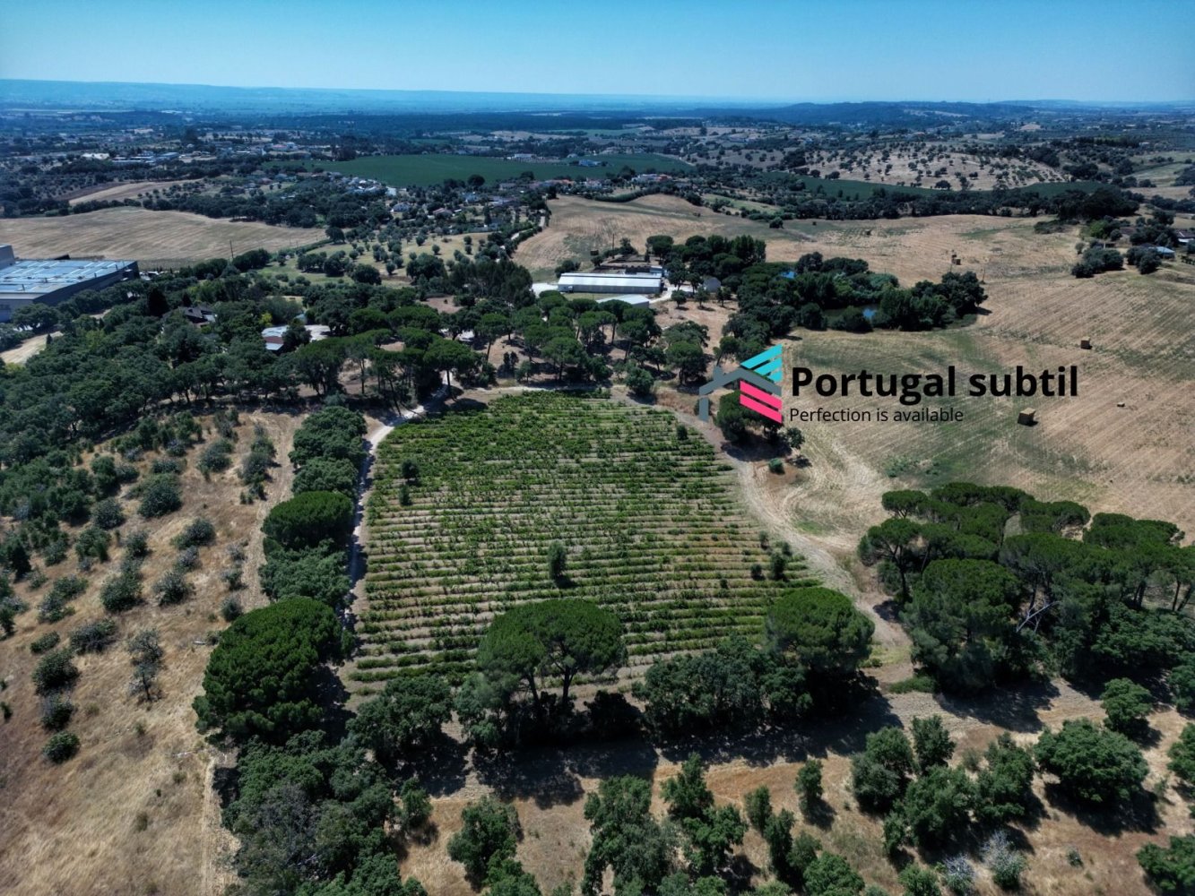  قطعة أرض في Torres Novas, Portugal 385099متر مربع رقم 341253