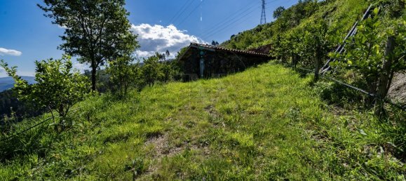 2 Schlafzimmer Haus in Vieira do Minho, Portugal, Nr. 32922 2