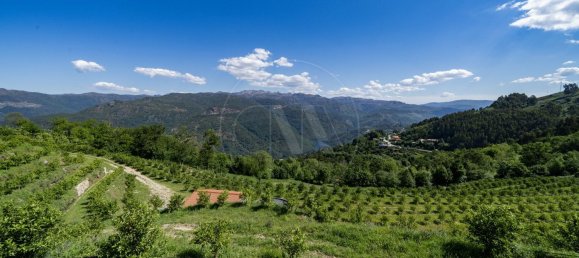 2 Schlafzimmer Haus in Vieira do Minho, Portugal, Nr. 32922 18