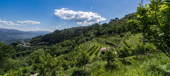 2 Schlafzimmer Haus in Vieira do Minho, Portugal, Nr. 32922 20