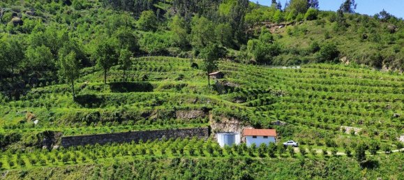 2 Schlafzimmer Haus in Vieira do Minho, Portugal, Nr. 32922 17