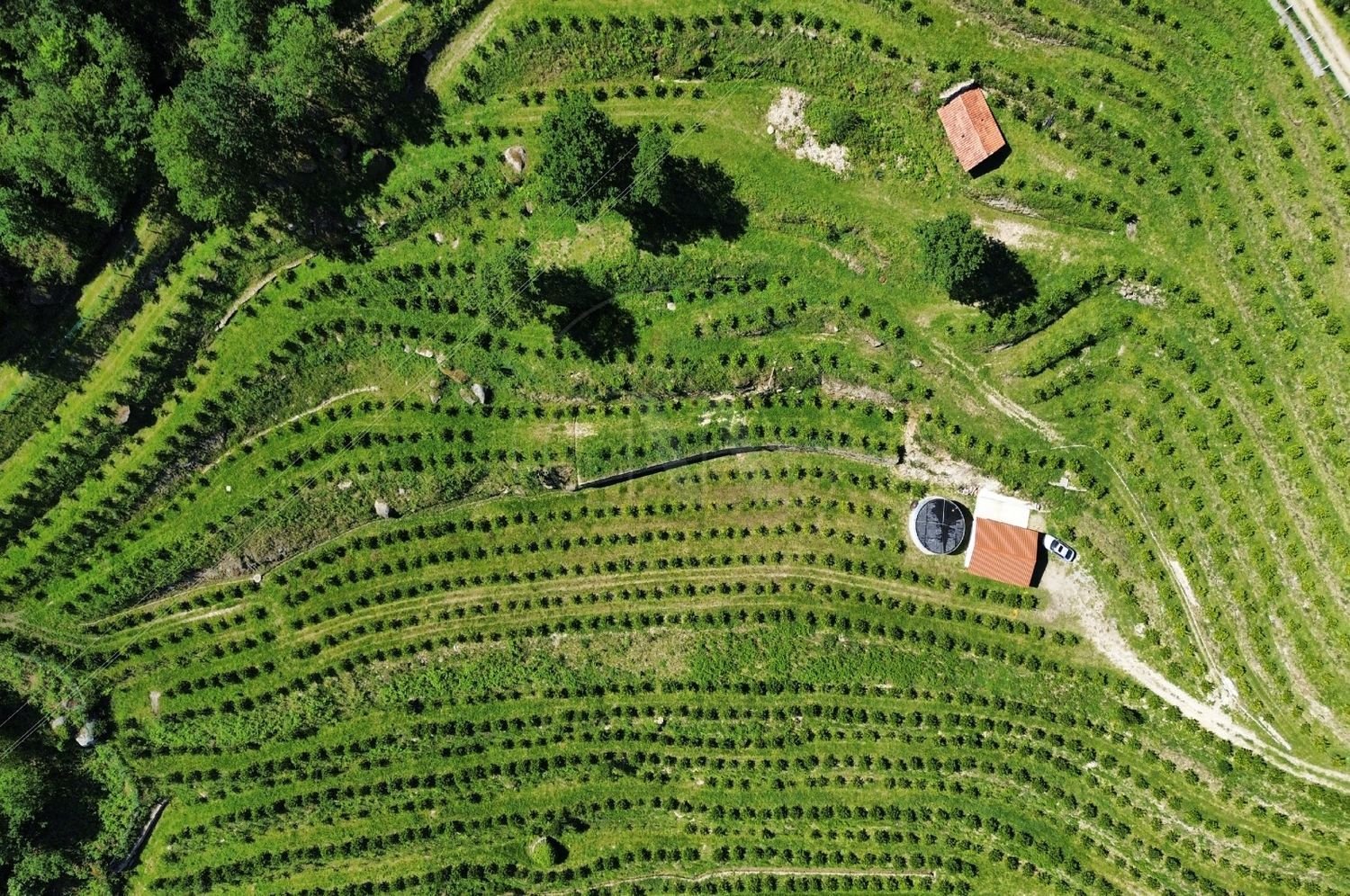 2 Schlafzimmer Haus in Vieira do Minho, Portugal, Nr. 32922