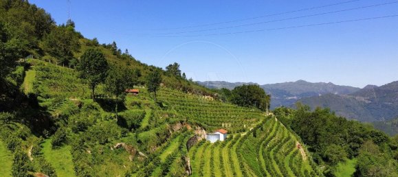 2 Schlafzimmer Haus in Vieira do Minho, Portugal, Nr. 32922 29