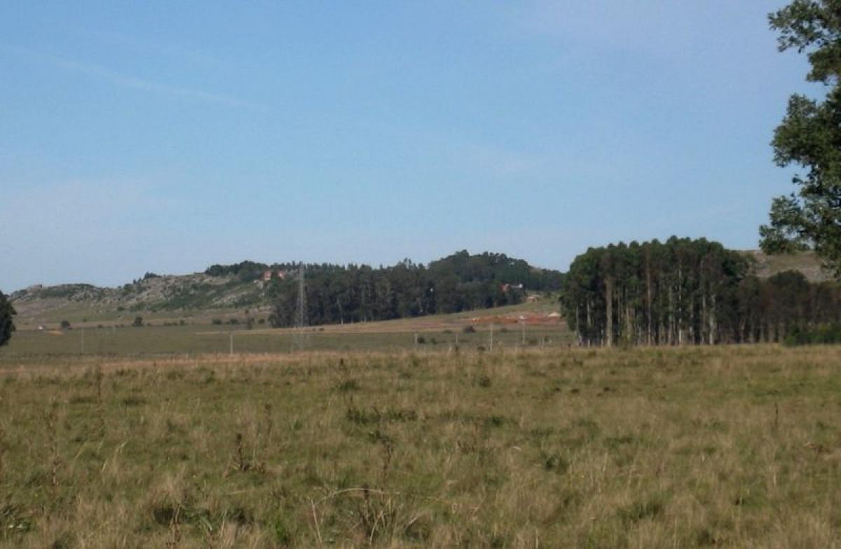 31m² Farm in Maldonado, Uruguay No. 14197