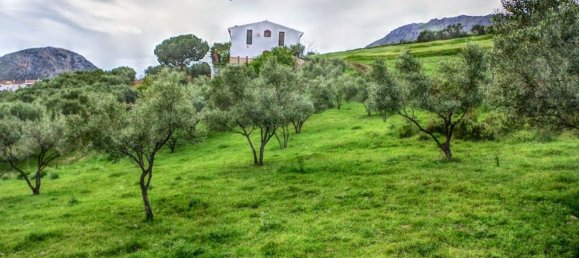 Casa de 4 dormitorios en Alcaucín, Spain No. 45131 14