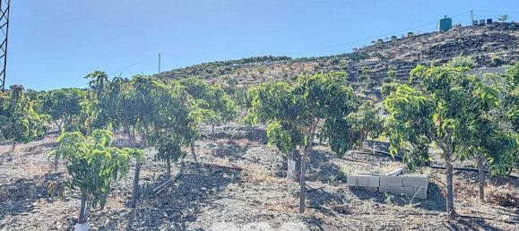 1 bedroom House in Benamargosa, Spain No. 36890 44