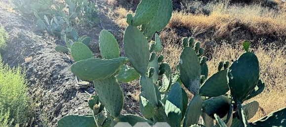 1 bedroom House in Benamargosa, Spain No. 36890 34