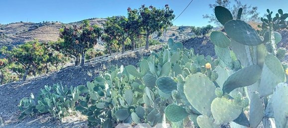 1 bedroom House in Benamargosa, Spain No. 36890 22