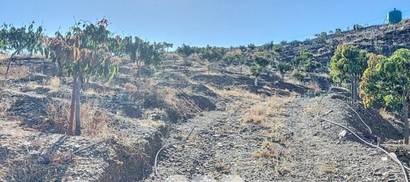 1 bedroom House in Benamargosa, Spain No. 36890 42