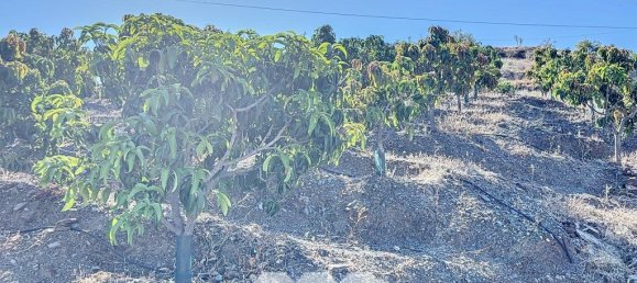 1 bedroom House in Benamargosa, Spain No. 36890 47