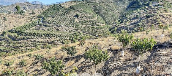 1 bedroom House in Benamargosa, Spain No. 36890 31