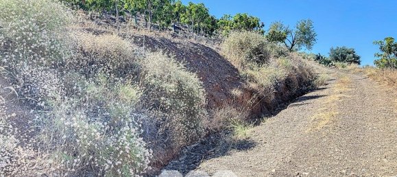 1 bedroom House in Benamargosa, Spain No. 36890 13