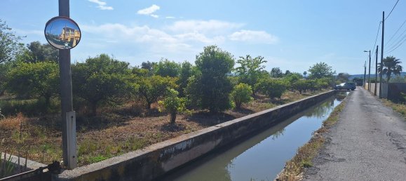  قطعة أرض في Castellon de la Plana, Spain رقم 191173 3