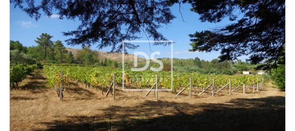 10 غرف نوم فندق في Abrunhosa a Velha, Portugal رقم 41381 21