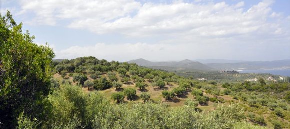 Hotel en Chalkidiki, Greece 3750 m² No. 7855 12