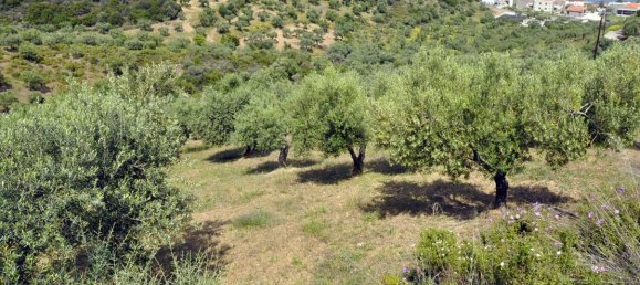 Hotel en Chalkidiki, Greece 3750 m² No. 7855 8