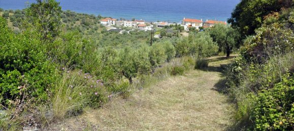 Hotel en Chalkidiki, Greece 3750 m² No. 7855 3