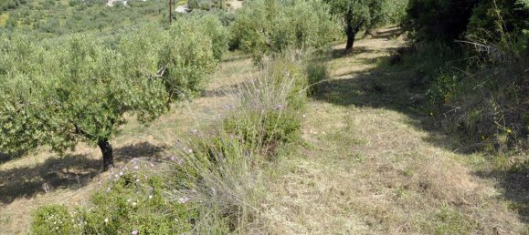 Hotel en Chalkidiki, Greece 3750 m² No. 7855 5